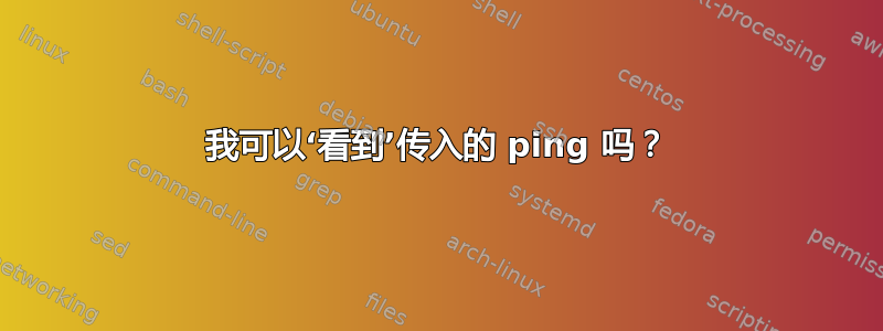 我可以‘看到’传入的 ping 吗？