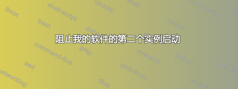 阻止我的软件的第二个实例启动