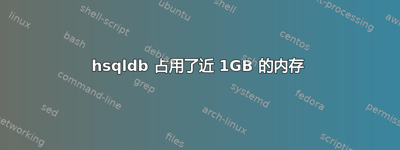 hsqldb 占用了近 1GB 的内存