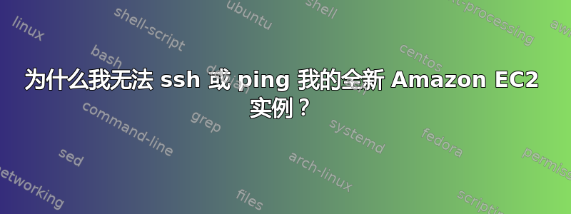 为什么我无法 ssh 或 ping 我的全新 Amazon EC2 实例？