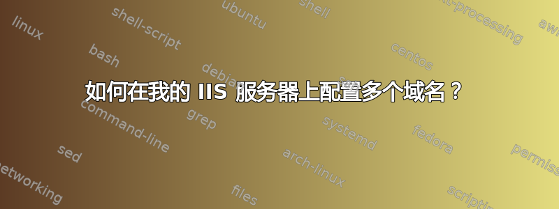 如何在我的 IIS 服务器上配置多个域名？