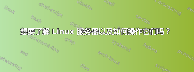 想要了解 Linux 服务器以及如何操作它们吗？