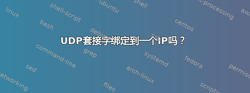 UDP套接字绑定到一个IP吗？