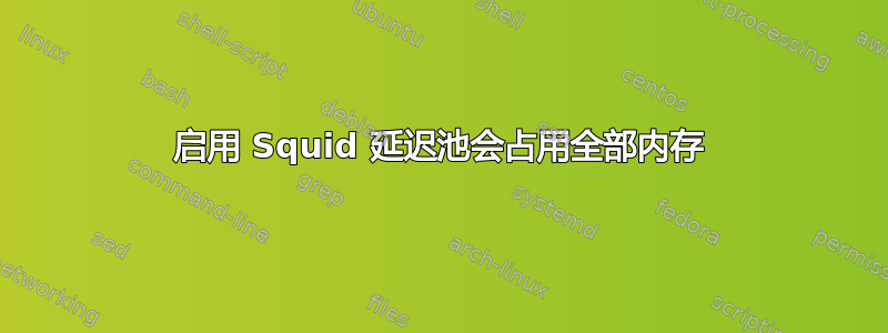 启用 Squid 延迟池会占用全部内存