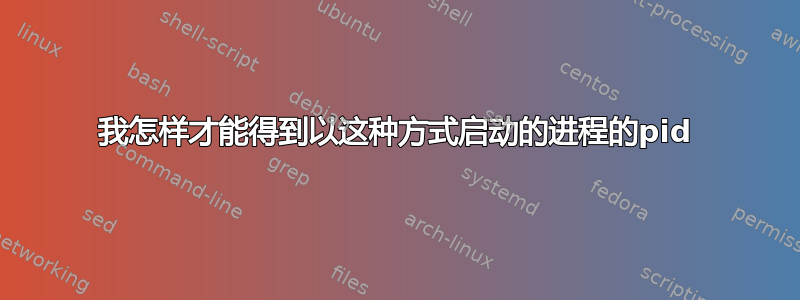 我怎样才能得到以这种方式启动的进程的pid