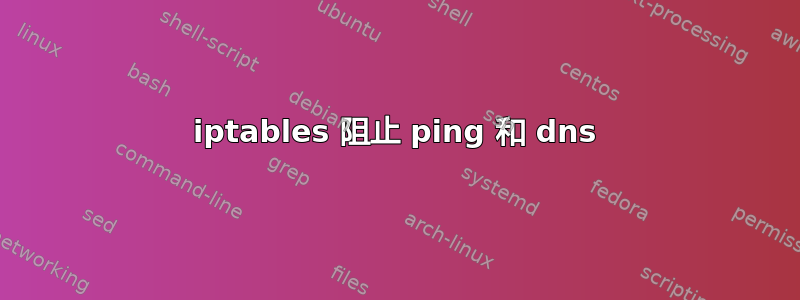 iptables 阻止 ping 和 dns