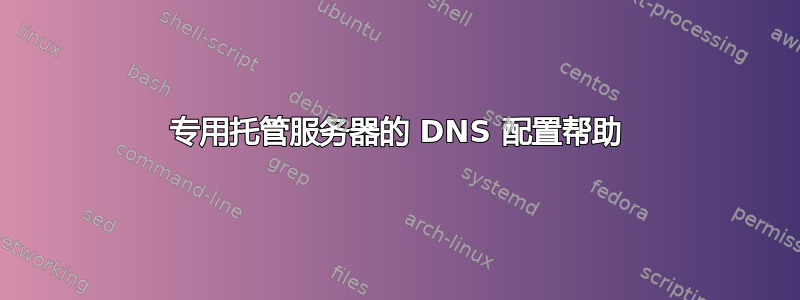 专用托管服务器的 DNS 配置帮助