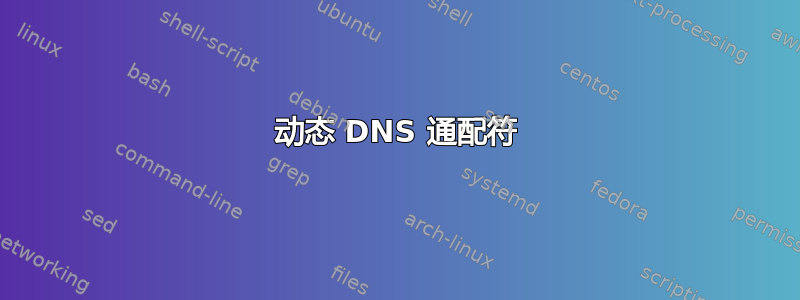 动态 DNS 通配符