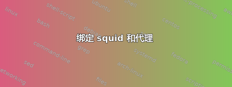 绑定 squid 和代理