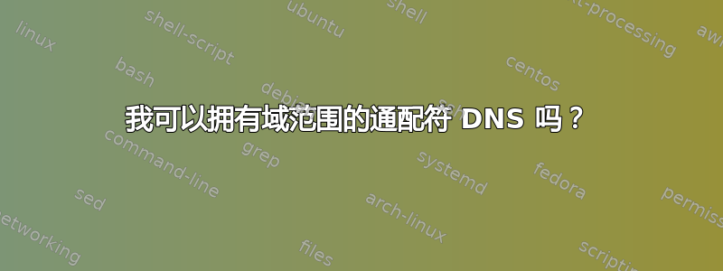 我可以拥有域范围的通配符 DNS 吗？