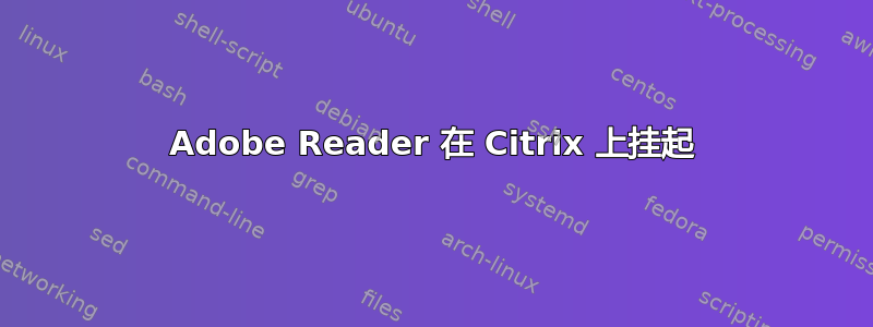 Adobe Reader 在 Citrix 上挂起