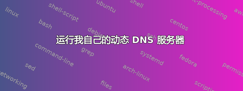 运行我自己的动态 DNS 服务器