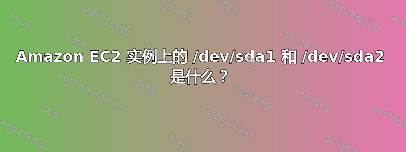 Amazon EC2 实例上的 /dev/sda1 和 /dev/sda2 是什么？