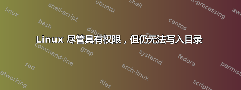 Linux 尽管具有权限，但仍无法写入目录