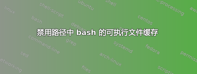 禁用路径中 bash 的可执行文件缓存