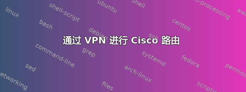 通过 VPN 进行 Cisco 路由