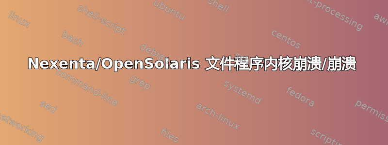 Nexenta/OpenSolaris 文件程序内核崩溃/崩溃