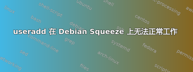 useradd 在 Debian Squeeze 上无法正常工作