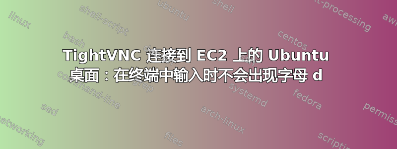 TightVNC 连接到 EC2 上的 Ubuntu 桌面：在终端中输入时不会出现字母 d