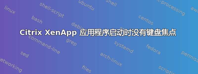 Citrix XenApp 应用程序启动时没有键盘焦点