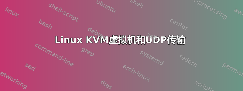 Linux KVM虚拟机和UDP传输