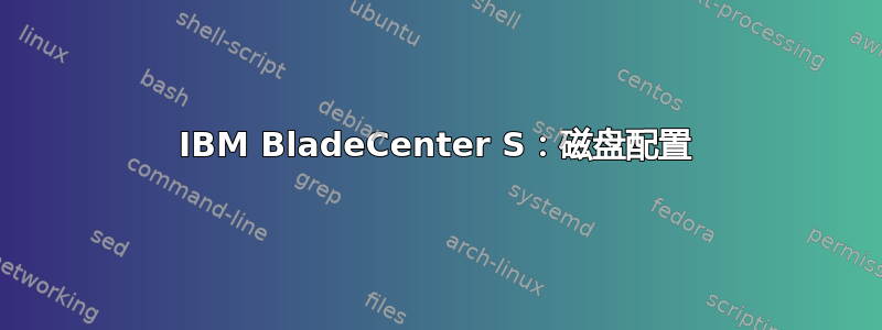 IBM BladeCenter S：磁盘配置