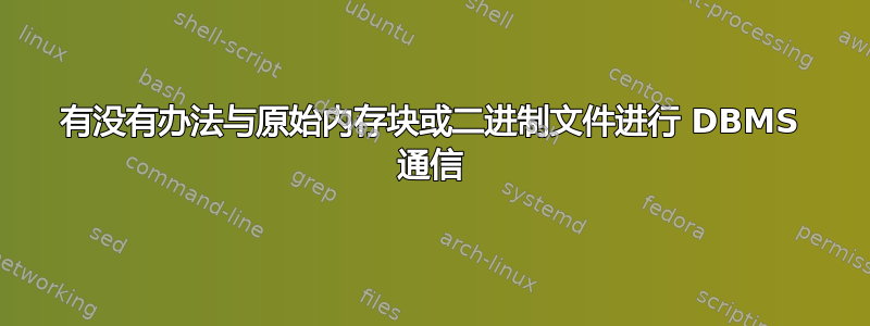 有没有办法与原始内存块或二进制文件进行 DBMS 通信