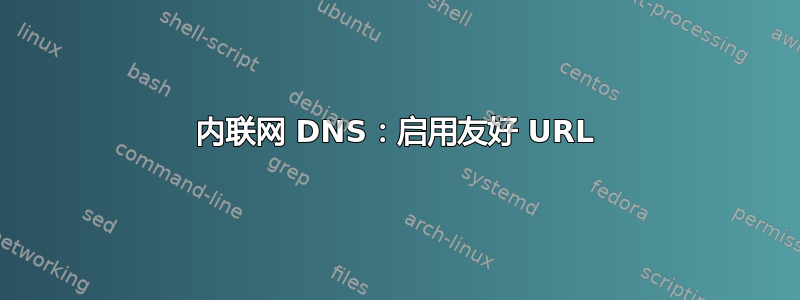 内联网 DNS：启用友好 URL