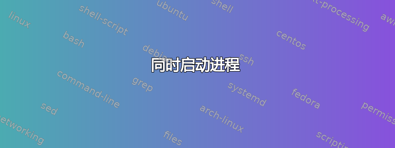 同时启动进程