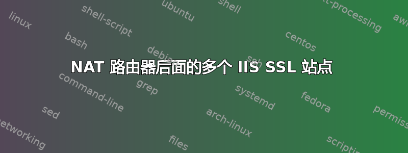 NAT 路由器后面的多个 IIS SSL 站点