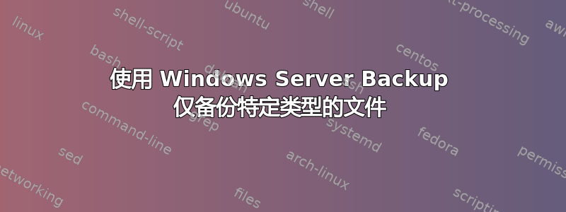 使用 Windows Server Backup 仅备份特定类型的文件