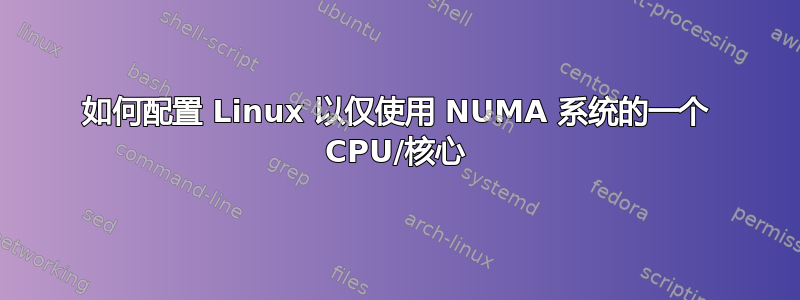 如何配置 Linux 以仅使用 NUMA 系统的一个 CPU/核心