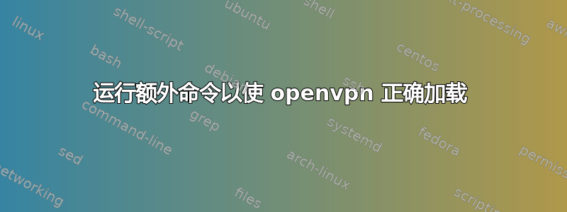 运行额外命令以使 openvpn 正确加载