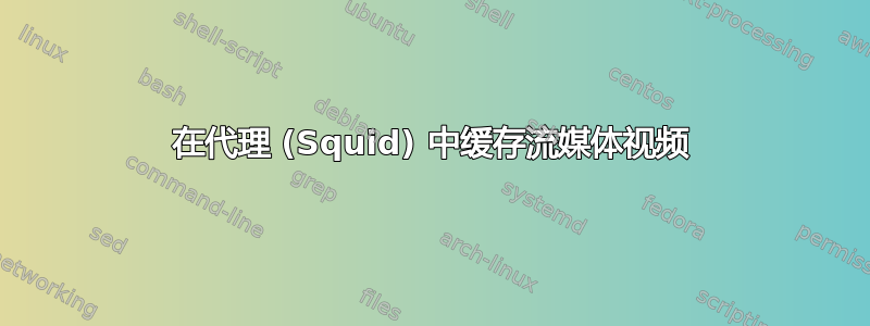 在代理 (Squid) 中缓存流媒体视频