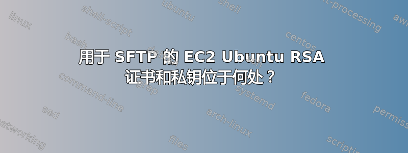 用于 SFTP 的 EC2 Ubuntu RSA 证书和私钥位于何处？