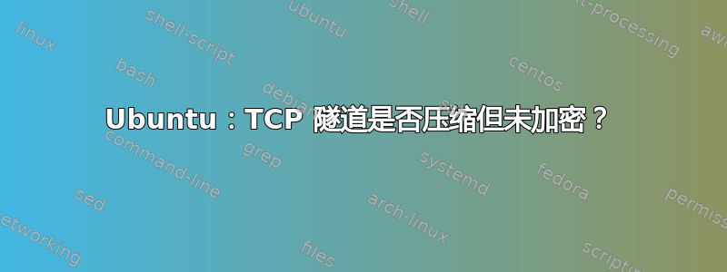 Ubuntu：TCP 隧道是否压缩但未加密？