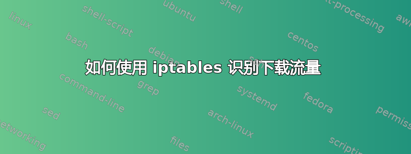 如何使用 iptables 识别下载流量