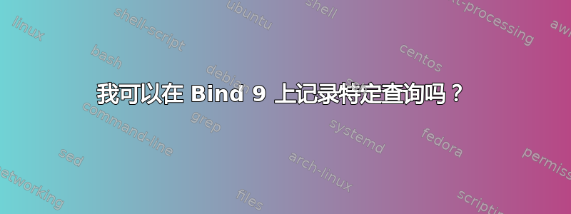 我可以在 Bind 9 上记录特定查询吗？