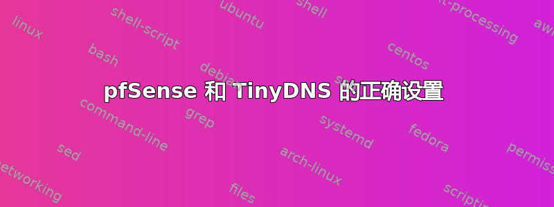 pfSense 和 TinyDNS 的正确设置