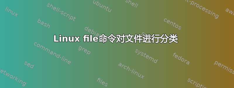 Linux file命令对文件进行分类