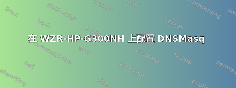 在 WZR-HP-G300NH 上配置 DNSMasq