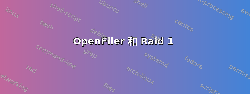 OpenFiler 和 Raid 1