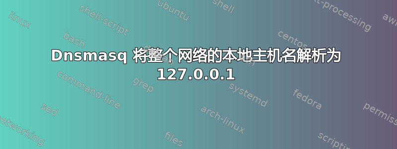 Dnsmasq 将整个网络的本地主机名解析为 127.0.0.1