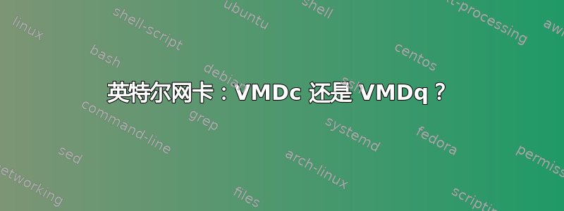 英特尔网卡：VMDc 还是 VMDq？