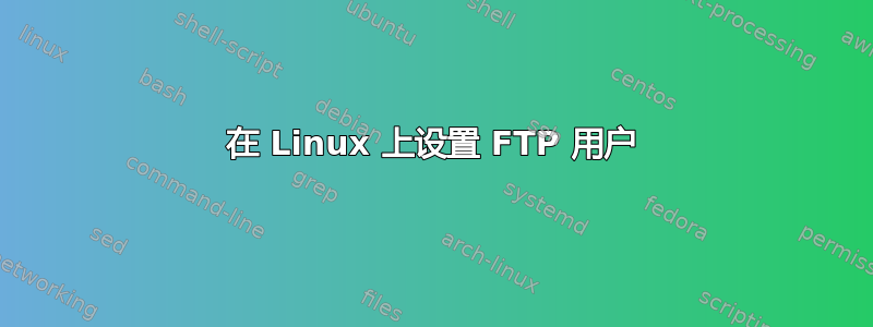 在 Linux 上设置 FTP 用户