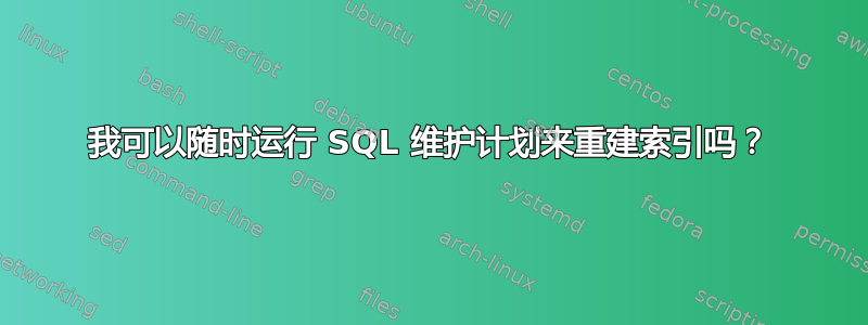 我可以随时运行 SQL 维护计划来重建索引吗？