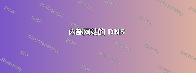 内部网站的 DNS