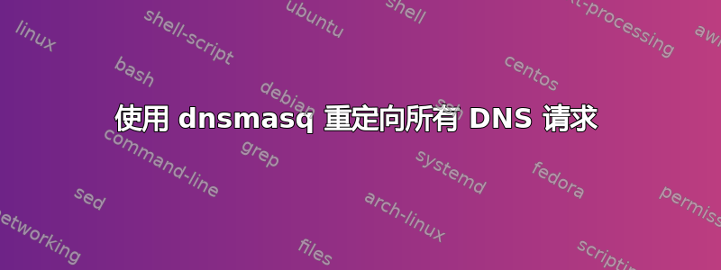 使用 dnsmasq 重定向所有 DNS 请求