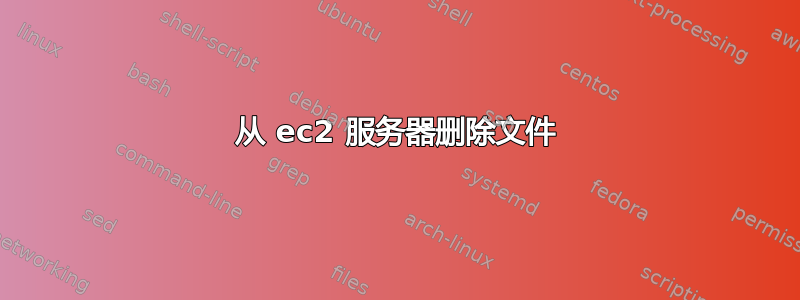 从 ec2 服务器删除文件