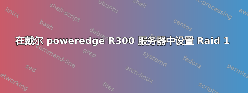 在戴尔 poweredge R300 服务器中设置 Raid 1